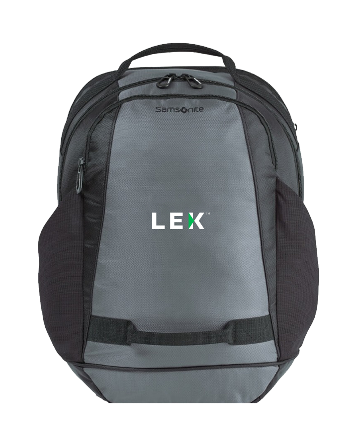 BULK: Samsonite Andante 2 Computer Backpack